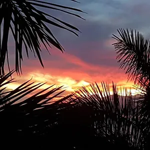 https://playa-bonita.tenerifehoteles.net